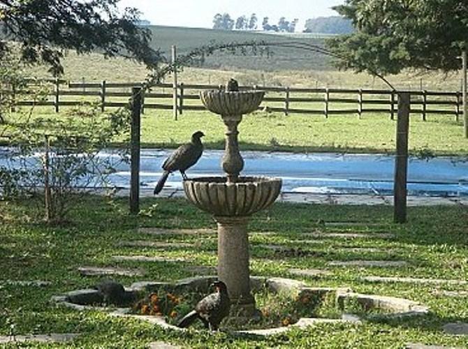 Pousada Chacara Das Roseiras Bagé Zewnętrze zdjęcie
